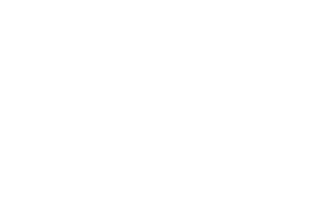 Medex Italy