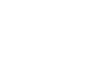 Plum Solution