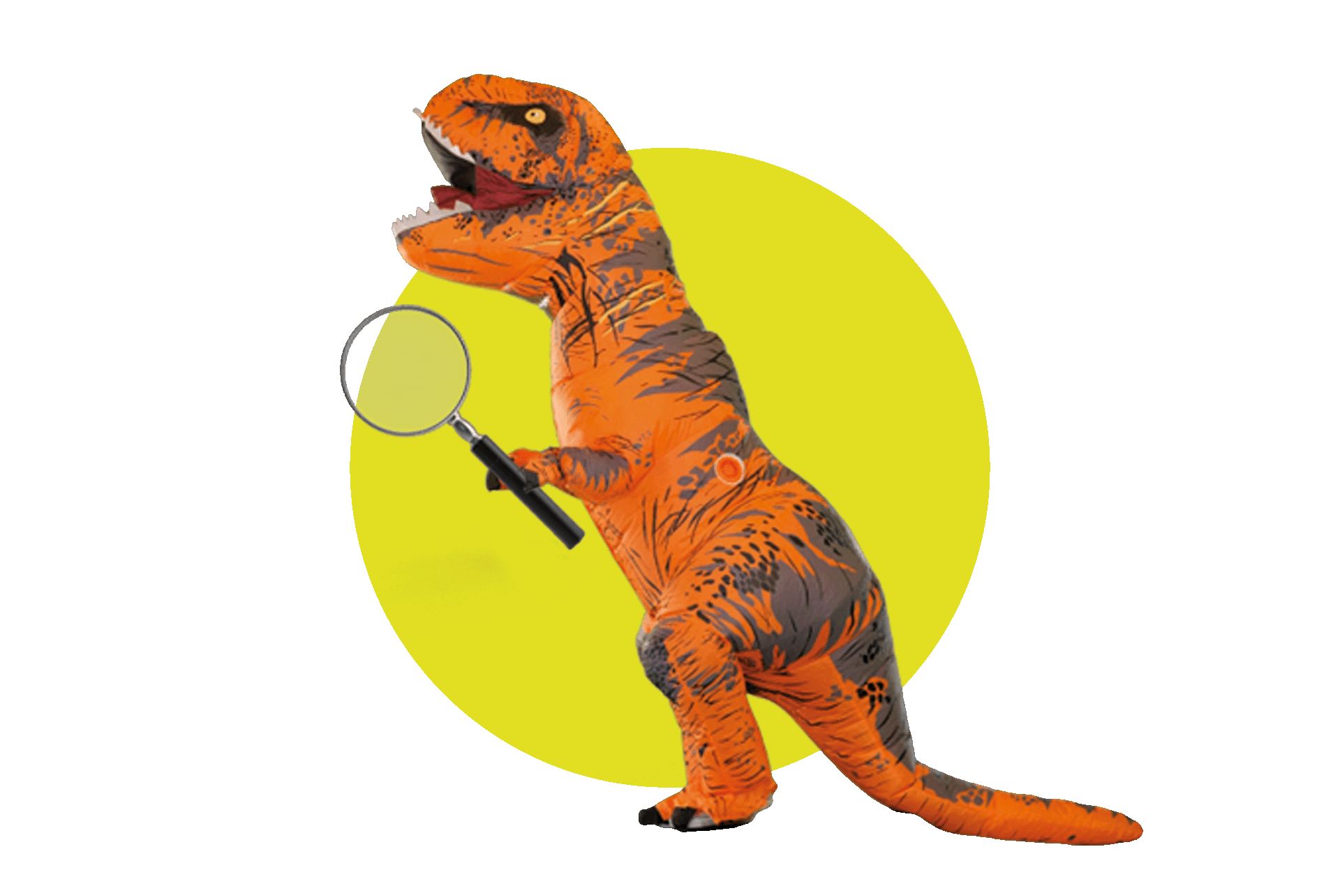 AAA cercasi graphic designer!